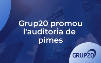 Grup20 defensa la promoció de l’auditoria de les pimes de menor dimensió