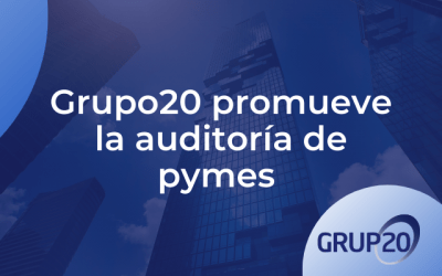 Grupo20 defiende la promoción de la auditoría de las pymes de menor dimensión