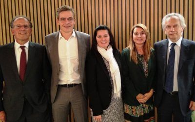 Grupo20 renueva su Junta Directiva y reelige a Mercè Martí como presidenta