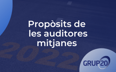 Grup20 revela els principals propòsits de les auditores mitjanes per aquest any